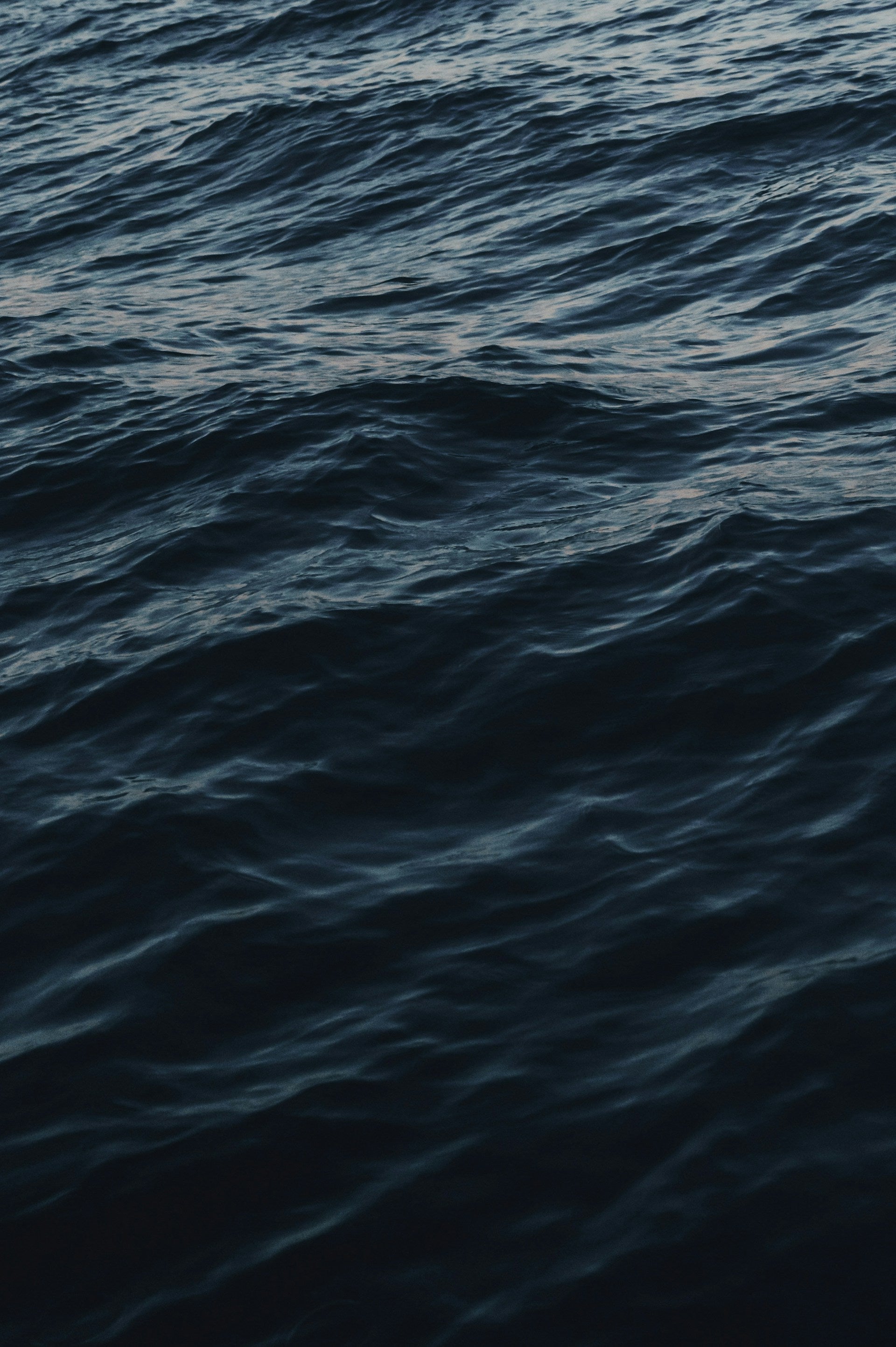 Blue Health: die Forschung über Wasser und Wohlbefinden